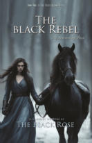 duksy colored forest scene with a woman in a long blue gown and a black horse walking in the snow