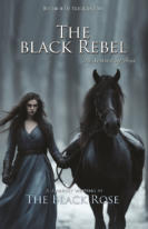 duksy colored forest scene with a woman in a long blue gown and a black horse walking in the snow