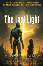 duksy colored forest scene with a woman in a long blue gown and a black horse walking in the snow