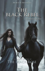 duksy colored forest scene with a woman in a long blue gown and a black horse walking in the snow